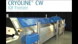 BOC Cryoline CW IQF Tunnel Freezer [upl. by Eadrahs]