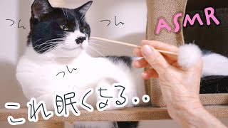 ASMR じぃじとばぁばの耳かき 猫パンチあり [upl. by Vastha]