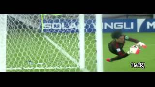 Guillermo Ochoa Best Saves ● World Cup 2014 HD [upl. by Sirret19]