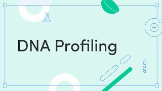 Y1112 Biology DNA Profiling [upl. by End]