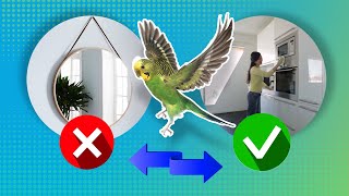 How to Bird Proof your house to make it safe for Budgies out of cage flight [upl. by Ian]