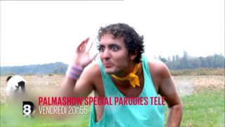 palmashow special parodies tele vendredi 20h55 d8 4 11 2015 [upl. by Neirual]