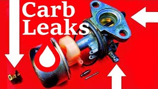 How To Fix A Briggs Or Tecumseh Lawn Mower That Leaks Gas From The Carburetor [upl. by Byron744]