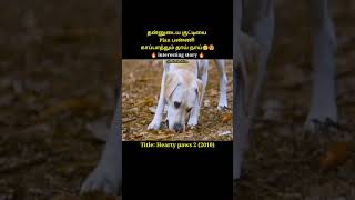 A mother dog who plans and protects her kidajmal televisiontamil movie explanation [upl. by Hirza650]