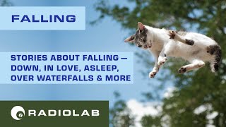 Falling  Radiolab Podcast [upl. by Aicenav]