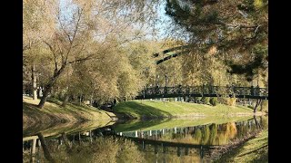 Cycling in the Park ride cycle autumn autumncolors river [upl. by Emilia]