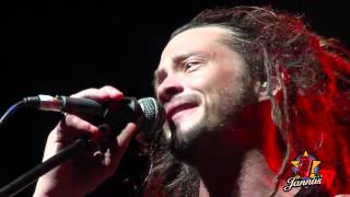 Soja jannus live 2013 [upl. by Strait995]