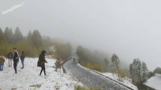 SNOWFALL IN CHIMNEY VILLAGE KURSEONG DARJEELING [upl. by Reyotal]