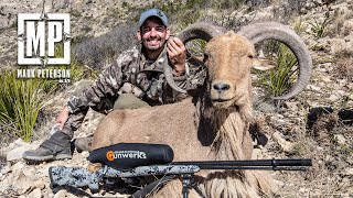 TX Aoudad Hunt Sheep Week 2022  Mark Peterson Hunting [upl. by Ayotal]