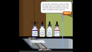 Gram Staining [upl. by Simpkins]