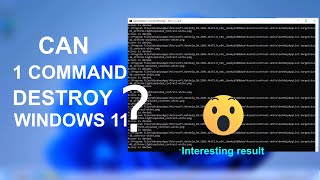 Can One Command Destroy Windows 11 [upl. by Mcmahon305]