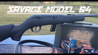 Savage Arms Model 64 22lr FULL REVIEW [upl. by Schulz189]