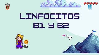 Linfocitos B1 y B2 [upl. by Akcinehs]