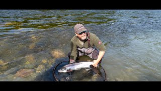 Fly fishing trip to Orkla Norway 2022 with Jonas Andersson [upl. by Vinaya437]