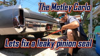 We try to fix the pinion leak without a full rebuild cheap budget repair carstuff carguy [upl. by Anerom927]