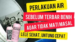 Persiapan air kolam sebelum tebar benih lele  Ulasan Informasi Persiapan Fermentasi Air Kolam Lele [upl. by Ghiselin167]