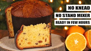 Panettone  Easy NoKnead Italian Fruit Christmas Cake  How Tasty Channel [upl. by Toiboid]