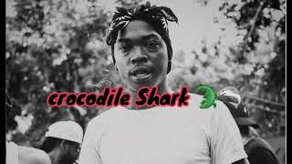 Skillibeng  Crocodile Shark Official Lyrics Video [upl. by Judye]