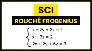 Teorema ROUCHÉ FROBENIUS  Sistema Compatible Indeterminado SCI [upl. by Nortyad]