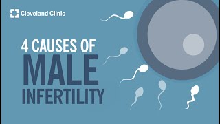 4 Causes of Male Infertility [upl. by Julio593]