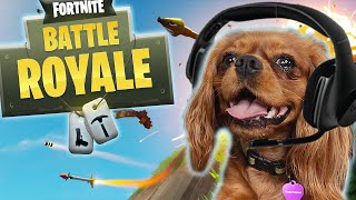 Dog Plays Fortnite  Evie The Talking Dog [upl. by Ecertap]