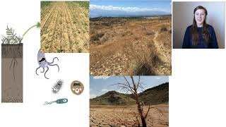 Soil Science Crash Course [upl. by Alan]