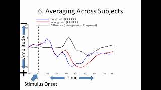 Electroencephalography EEG Explained  Neuroscience Methods 101 [upl. by Atiuqaj]