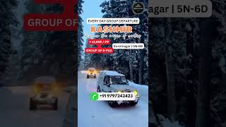 Kashmir Royal Travels youtubeshorts shorts travel kashmir winter [upl. by Suckow550]