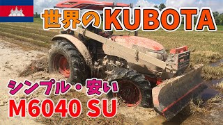 カンボジアでは新車KUBOTA60馬力が大人気？海外新車トラクターから現地トラクター情報など公開 [upl. by Deelaw]