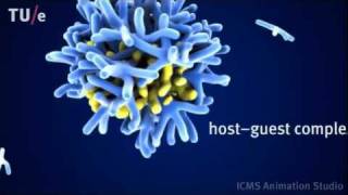 Dilution induced selfassembly of a dendrimer hostguest system [upl. by Wendelina478]