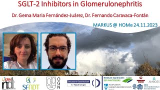 SGLT2 Inhibitors in Glomerulonephrits  Dr Gema FernándezJuárez Dr Fernando Caravaca Fontán [upl. by Hgieloj193]