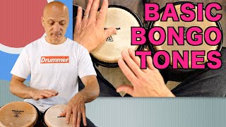 Basic Bongo Tones  How to Play Bongos Tutorial [upl. by Pytlik]