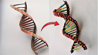 Cardboard DNA Model Project [upl. by Freyah]