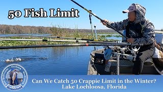 Limiting Out 50 Fish Winter Crappie Fishing in Florida [upl. by Oikim]