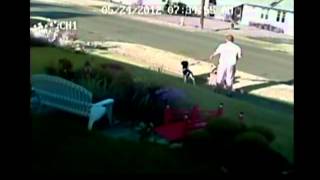 Dog attack caught on tape [upl. by Stu]