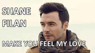 Shane Filan  Make You Feel My Love Lyrics HD [upl. by Milore]