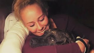 What Caused 2 Pit Bulls to Kill Their Owner [upl. by Richarda133]