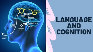 Language and Cognition [upl. by Kumagai]