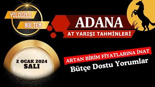 2 Ocak 2024 Salı Adana At Yarışı Tahminleri [upl. by Claybourne]