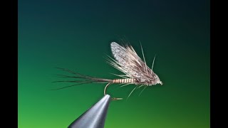 Fly Tying a Muddler Mayfly dry fly with Barry Ord Clarke [upl. by Nreval]