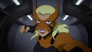 Tigress  All Fight amp Abilities Scenes  Young Justice S2S3 [upl. by Sivrep]