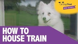 4 Simple Tips For House Training Your Puppy  Dogs Trust Dog School [upl. by Bish]