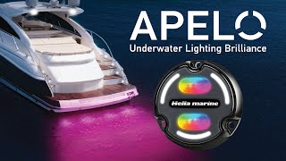 Apelo  Underwater Lighting Brilliance by Hella marine [upl. by Seline190]