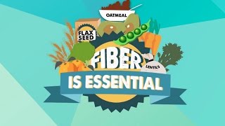 List of High Fiber Foods Soluble and Insoluble [upl. by Eenerb]