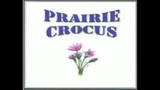 PRAIRIE CROCUS  ROSSBURN WALTZ [upl. by Niroc]