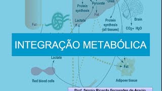 Curso de Bioquimica Integração Metabólica [upl. by Hiamerej]