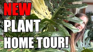 NEW Houseplant Home Tour  GIANT 12 ft Tall Plants  Tons of Lush Plants Healthy Plants Tour [upl. by Philender]