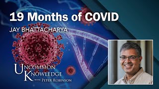 What Happened Dr Jay Bhattacharya on 19 Months of COVID [upl. by Ennirac411]