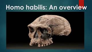 Homo habilis An overview [upl. by Lennon]