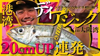 アジング 20cmアップ連発！港湾デイアジング in 大阪湾 [upl. by Roer]